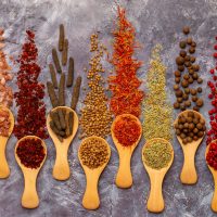 A,Set,Of,Spices,On,A,Gray,Background.,Variety,Of